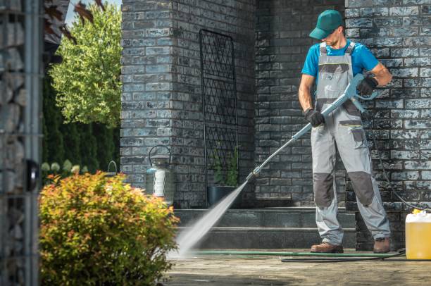 Best Roof Washing  in Rockford, IL